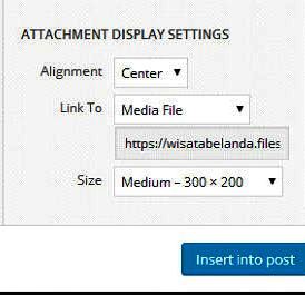 Attachment Display Settings